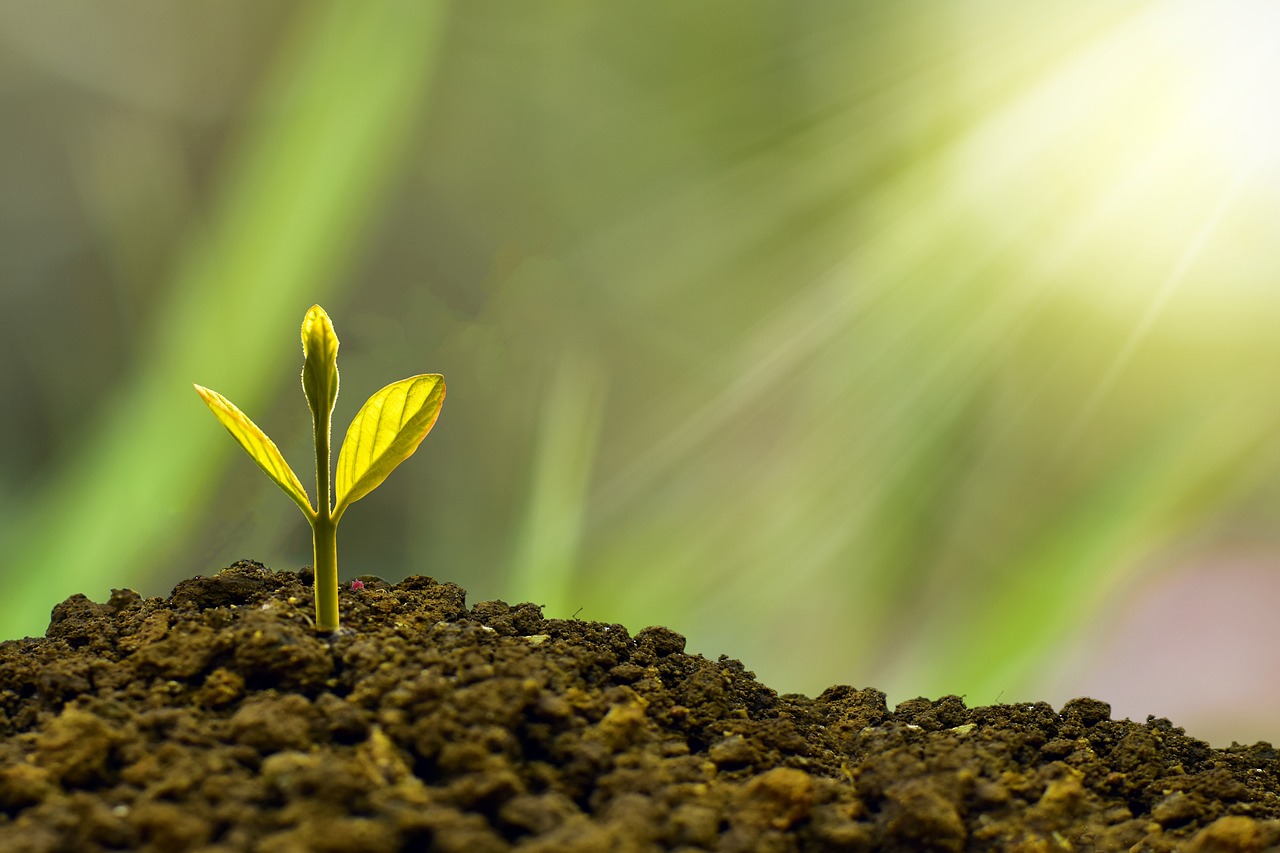 découvrez des stratégies efficaces de croissance pour votre entreprise. apprenez à optimiser vos ressources, développer de nouvelles opportunités et atteindre vos objectifs avec des solutions innovantes et adaptées à votre marché.