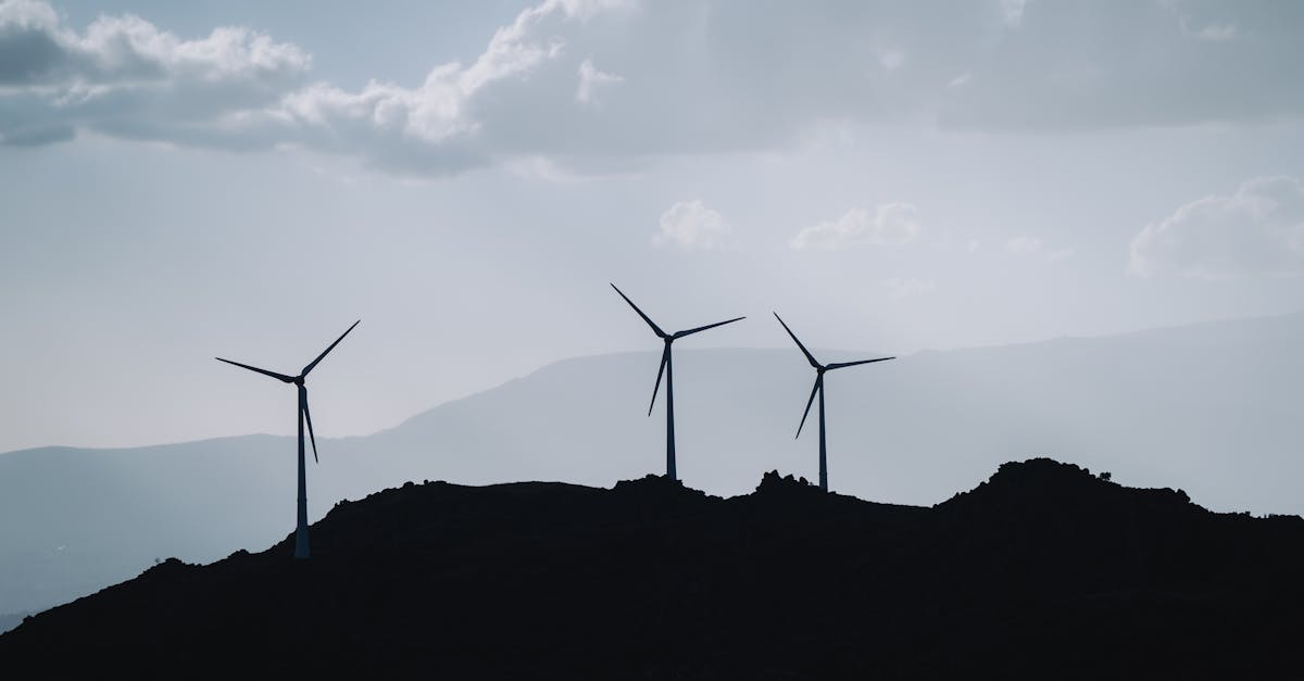 découvrez l'importance du développement durable pour un avenir responsable. explorez des stratégies et des pratiques favorisant l'équilibre entre croissance économique, protection de l'environnement et bien-être social pour assurer un monde meilleur.
