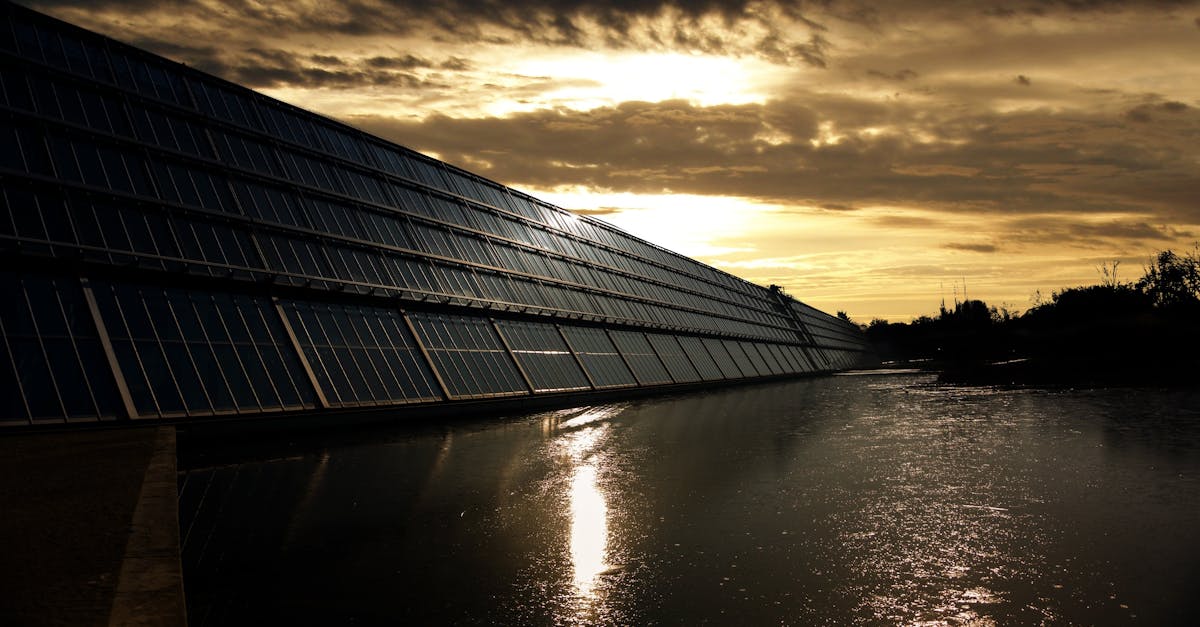 découvrez comment le développement durable façonne un avenir responsable en harmonisant les besoins économiques, sociaux et environnementaux. apprenez des pratiques innovantes pour un monde plus juste et respectueux de notre planète.