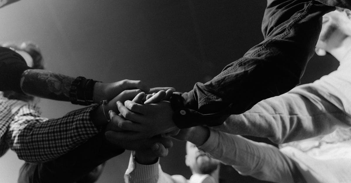 Synergie : L’art de créer des collaborations efficaces