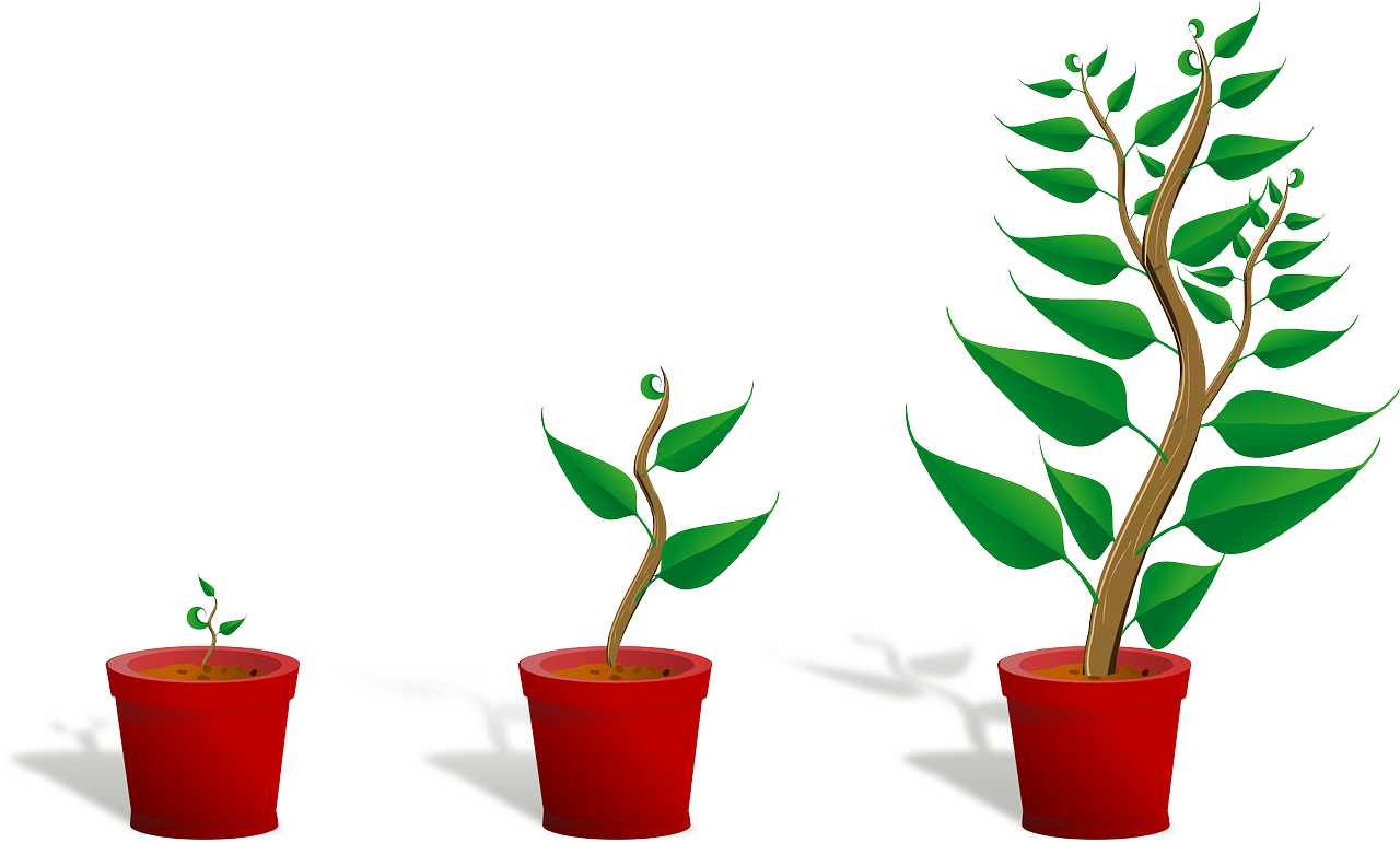 Démystifier le growth marketing : stratégies et enjeux pour propulser votre entreprise